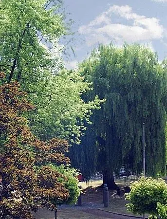 Otel Josten Nettetal